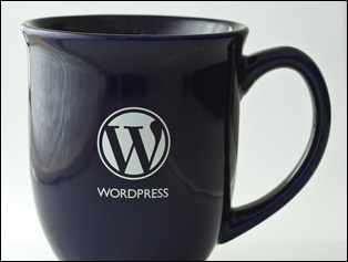 WordPress mug